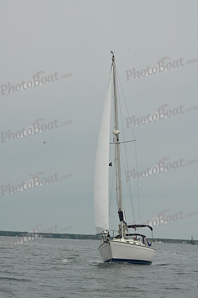 2026 FIGAWI 44