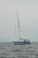 2026 FIGAWI 1164