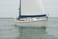 2026 FIGAWI 319