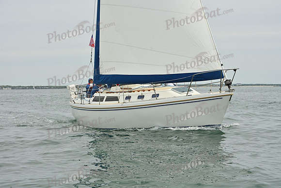 2026 FIGAWI 319
