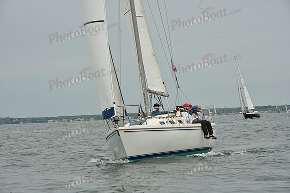 2026 FIGAWI 313