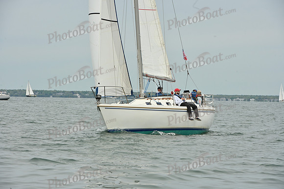 2026 FIGAWI 312