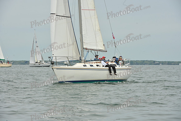 2026 FIGAWI 310