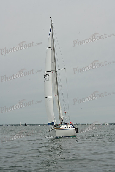 2026 FIGAWI 315