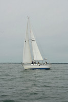 Ocean Rose