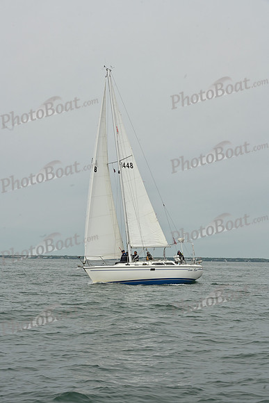 2026 FIGAWI 381