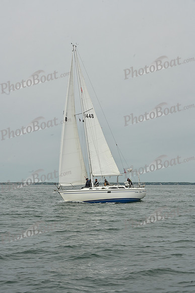 2026 FIGAWI 382