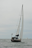 2026 FIGAWI 993