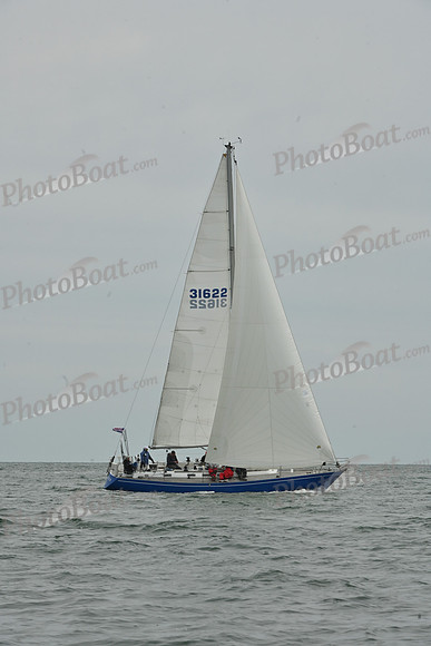 2026 FIGAWI 994