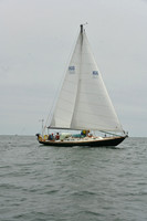 2026 FIGAWI 785