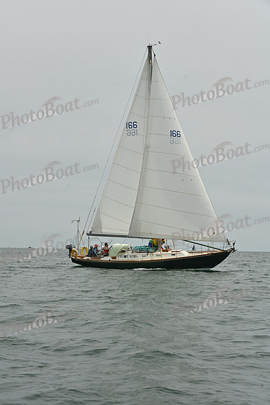 2026 FIGAWI 785