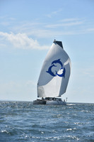 Arethusa