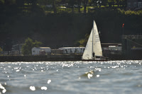 2016 NY Architects Regatta_0398