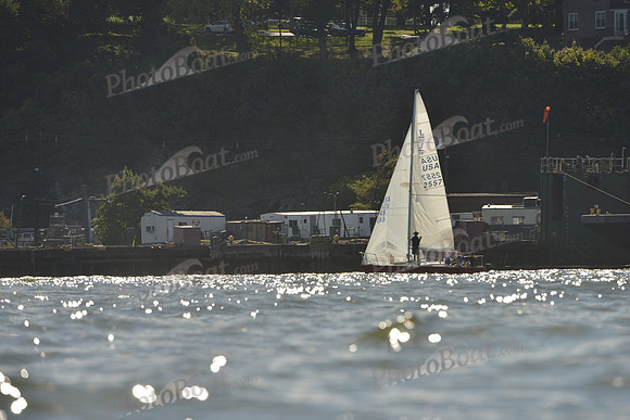 2016 NY Architects Regatta_0398