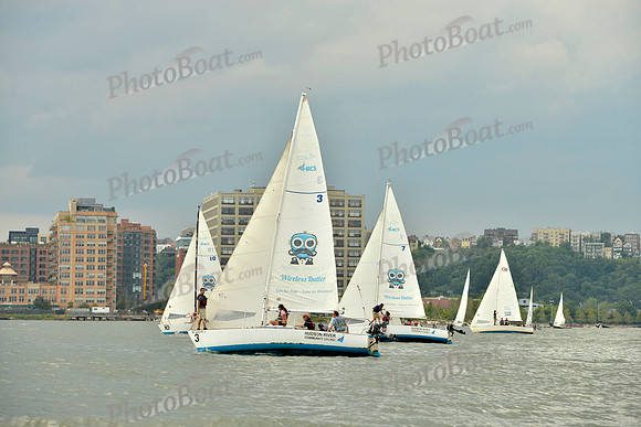 2017 NY Architects Regatta A_0563