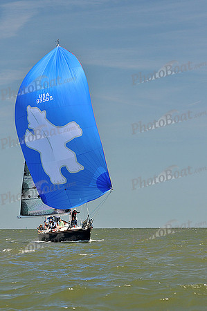 2014 Southern Bay Race Week D 1050