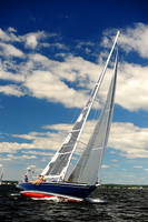 2014 Vineyard Race A 343