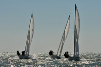 2012 Thistle Midwinters A 066
