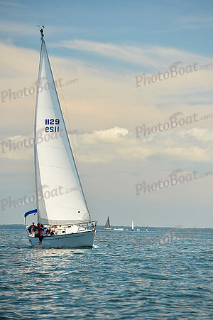 2015 Cape Charles Cup C 335