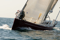 2010_NptBmda_2211