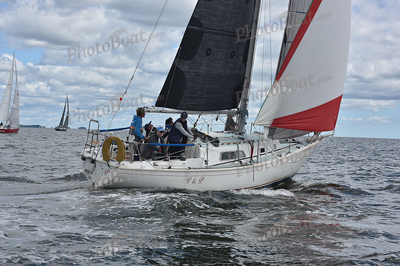 2021 Vineyard Race A 0240