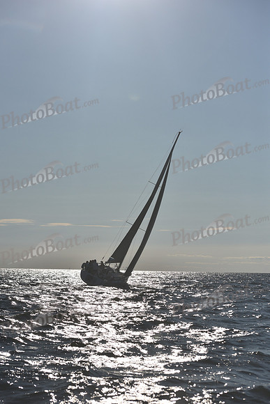 2021 Vineyard Race B 2776