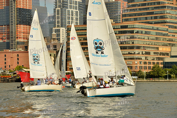 2017 NY Architects Regatta A_0629