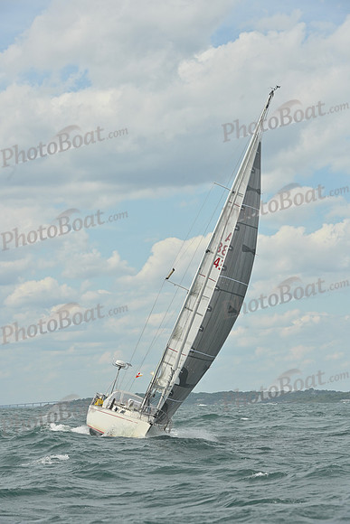2026 Newport Bermuda_2124