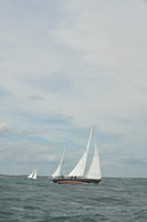 2026 Newport Bermuda_1526