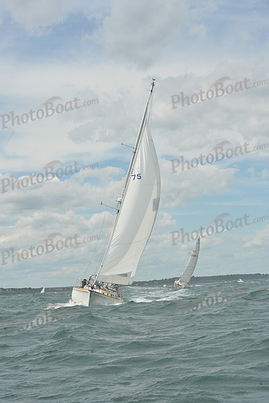 2026 Newport Bermuda_1326