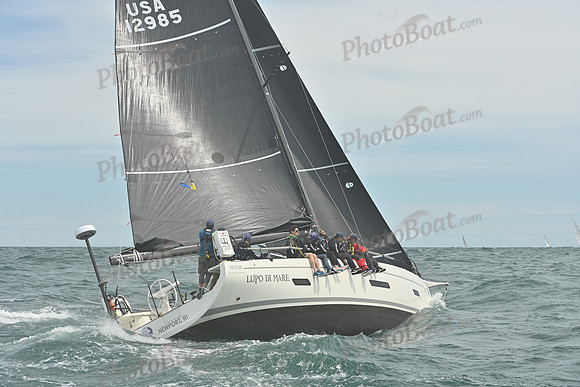 2026 Newport Bermuda_1044