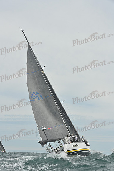 2026 Newport Bermuda_1931