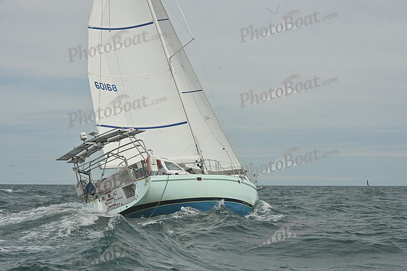 2026 Newport Bermuda_2103