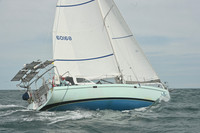 2026 Newport Bermuda_2102