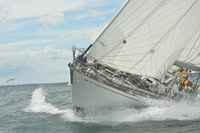 2026 Newport Bermuda_1392