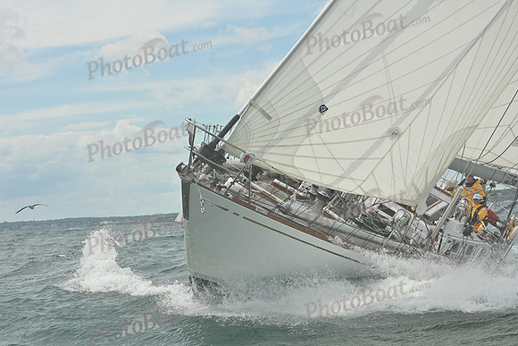 2026 Newport Bermuda_1392