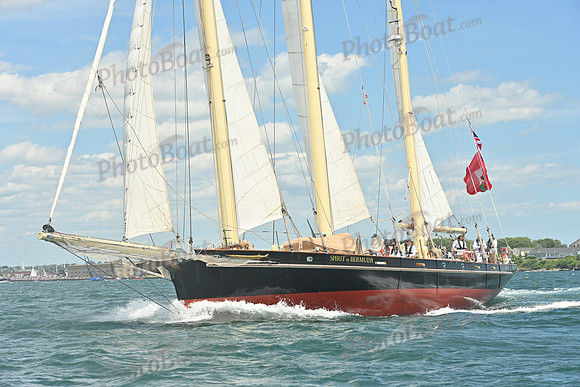2026 Newport Bermuda_0017