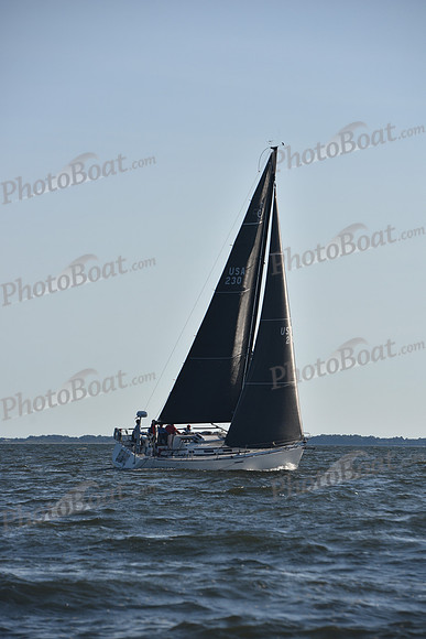 2021 Vineyard Race B 2787