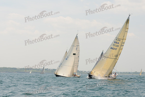 2010_Newport_Bermuda 342
