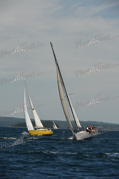 2016 Chester Race Week A_0553