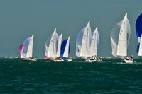 2011_KeyWestRaceWeek_C 516