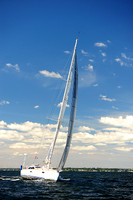 2014 Vineyard Race A 831