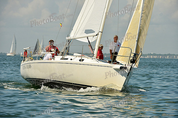 2015 Southern Bay Race Week C 441