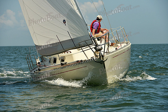 2015 Southern Bay Race Week C 799