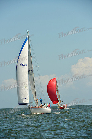 2015 Southern Bay Race Week C 1341