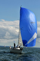 2010 IRC LIS 2032