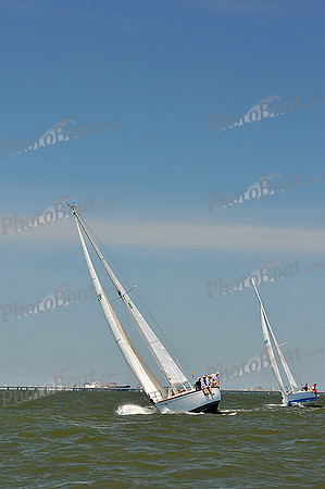 2014 Southern Bay Race Week D 579