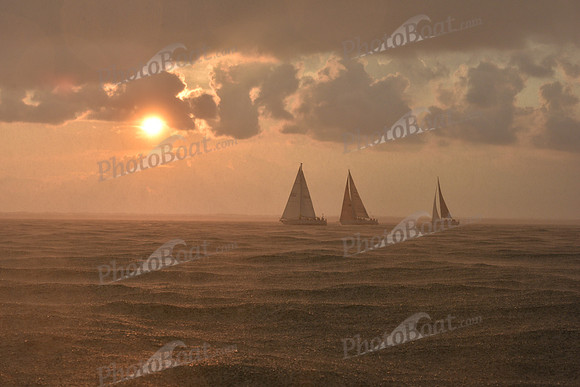 2019 Gov Cup A_3326