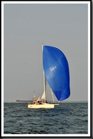 proof_2010 Gov Cup A 461