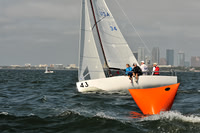 2014 J70 Winter Series A 1347